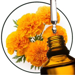 Tagetes Etherische Olie (Afrikaantje)
