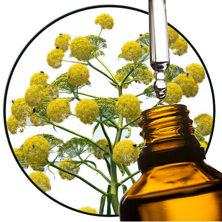 Asafoetida Etherische Olie