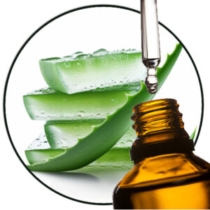 Aloe Vera Parfumolie