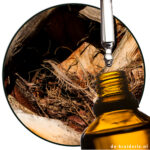 Ambermor EX by IFF perfume fragrance