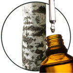 Berk Betula Lenta etherische olie