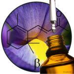 Beta Ionone (BASF) AC