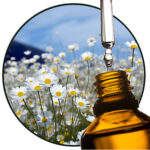 Chamomile True / Blue EO