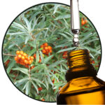 Sea buckthorn PO