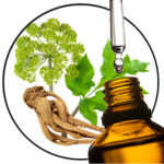 Engelwortel etherische olie