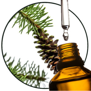 Fijnspar etherische olie