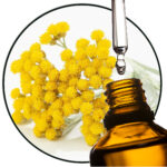 Strohblume / Helichrysum EO