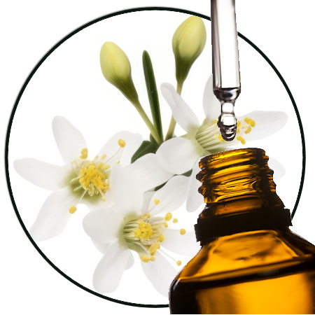 Jasmijn Parfumolie Jasmijn Parfumolie