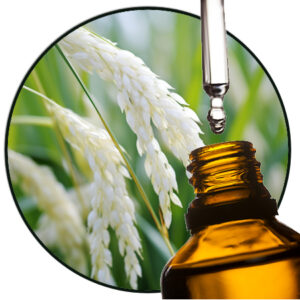 Riceflower perfume oil