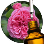 Rose bulgarischer EO