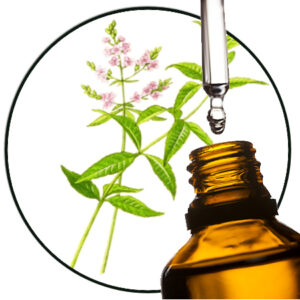 citroenverbena etherische olie