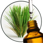 citronella etherische olie