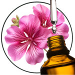 geranium etherische olie