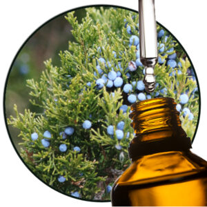 jeneverbes etherische olie