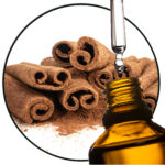 Cinnamon Bark  EO