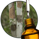 Katrafay / Katafray EO