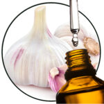 Garlic EO