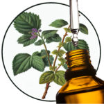 patchouli etherische olie