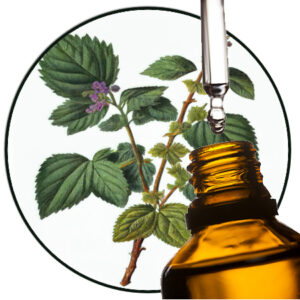 patchouli etherische olie