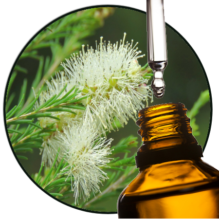 rosalina etherische olie Rosalina EO - Image 1