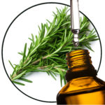 Rosemary EO
