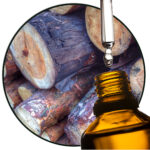 rozenhout etherische olie