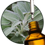 salie etherische olie