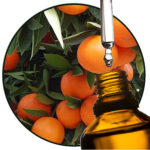 Orange Sweet (peel) EO