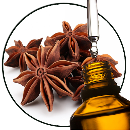 Star anise EO