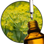 venkelzaad etherische olie