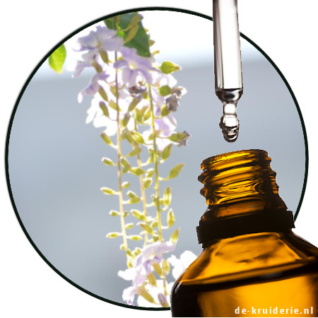 1-heptanol Heptylalcohol de-kruiderie.nl