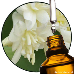 ALPHA AMYL CINNAMIC ALDEHYDE