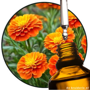 Afrikaantje - marigold- parfumolie