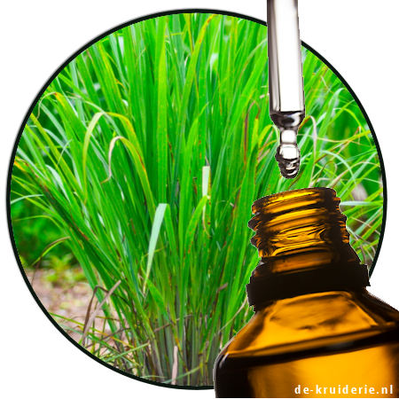 Ahibero Citroengras Madagascar Etherische olie