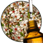 Anisaldehyde / Aubepine (AC)