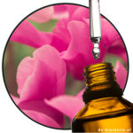 Cyclamen Aldehyde Extra (Givaudan) AC