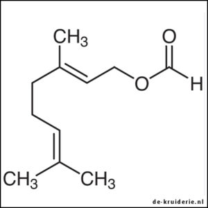 Geranyl Formate Molecule