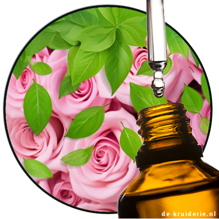 Geranyl Formate (AC)