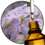 Heliotropex / Heliotropin-Ersatz (AC)