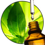 Heptanal Aldehyde C7