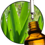 Hydrotropic Aldehyde ( Hyacinthal )