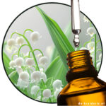 Hydroxycitronellol (AC)