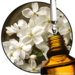 Jasmelia / Jessemal® (IFF) AC