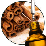 Cinnamon Ceylon (NI)