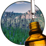 Lavender Mont Blanc (EO)