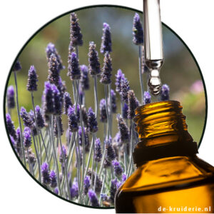 Lavendel natuuridentiek