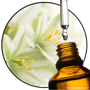 Lilliamour (Schiff's Base – Lillial-Methyl Anthranilate)
