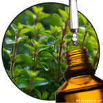 Majoraan etherische olie