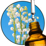 Muguet Aldehyde IFF (AC)