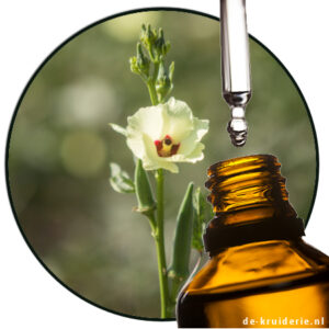 Musk Ambrette Premium quality